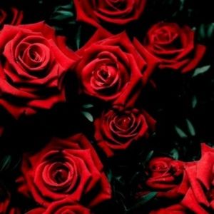 Meet your Posher, Mar